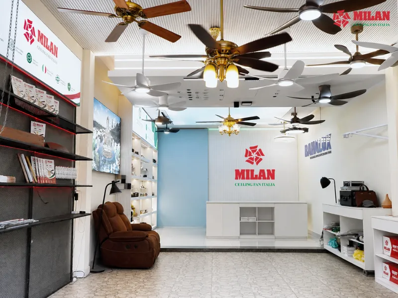 Trải nghiệm thực tế tại showroom quạt trần Đà Nẵng.